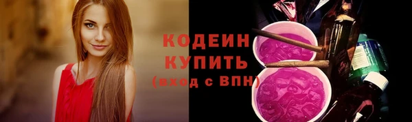 хмурый Абаза